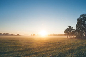 Beleid nieuwe kabinet rondom opgaven landelijk gebied voedt onzekerheid en vertraagt broodnodige transformaties