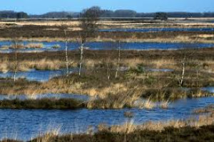 Kritiek op en onrust over plannen van defensie in Drenthe; hierover discussie in Provinciale Staten